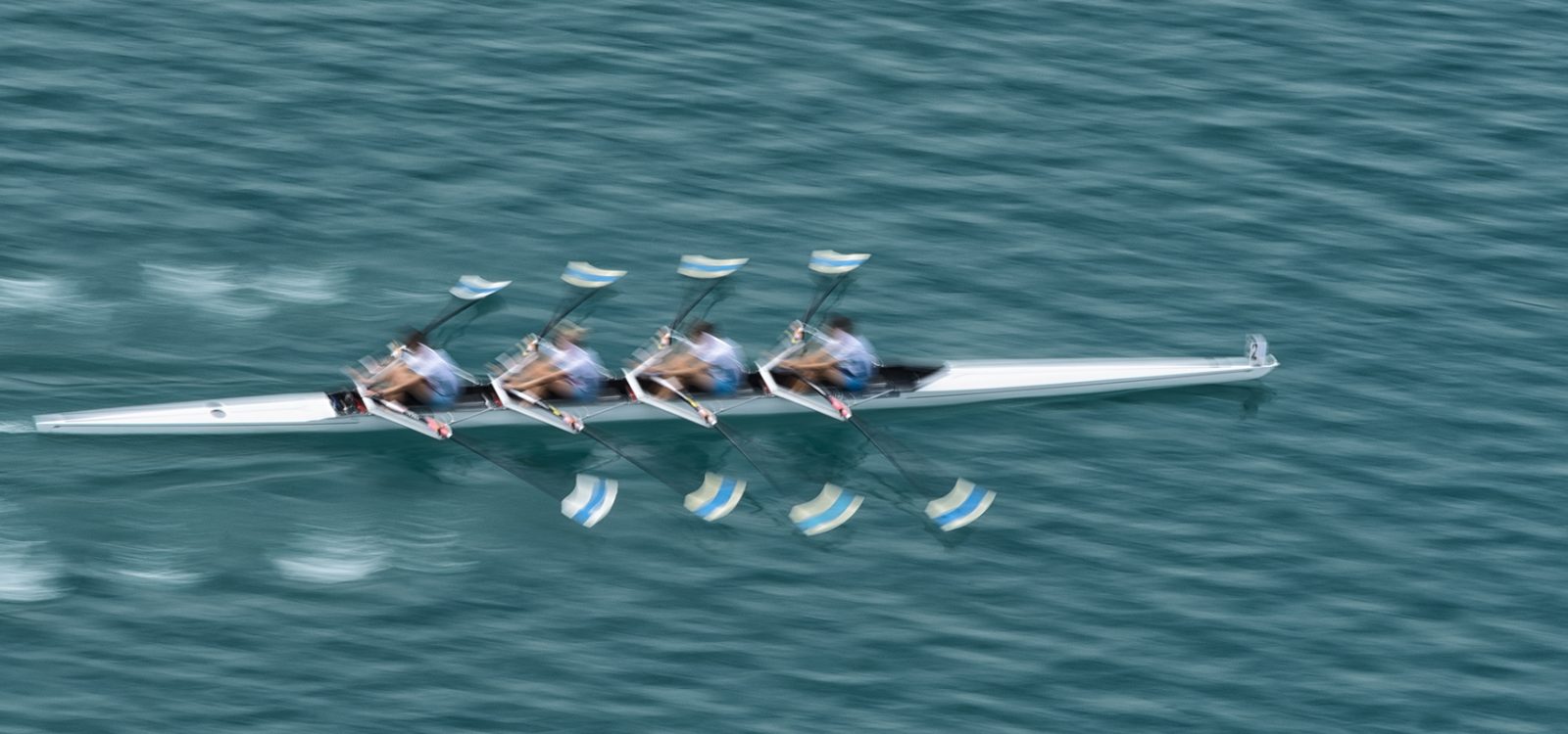 Quadruple Scull Rowing Team Practicing, Blurred Motion