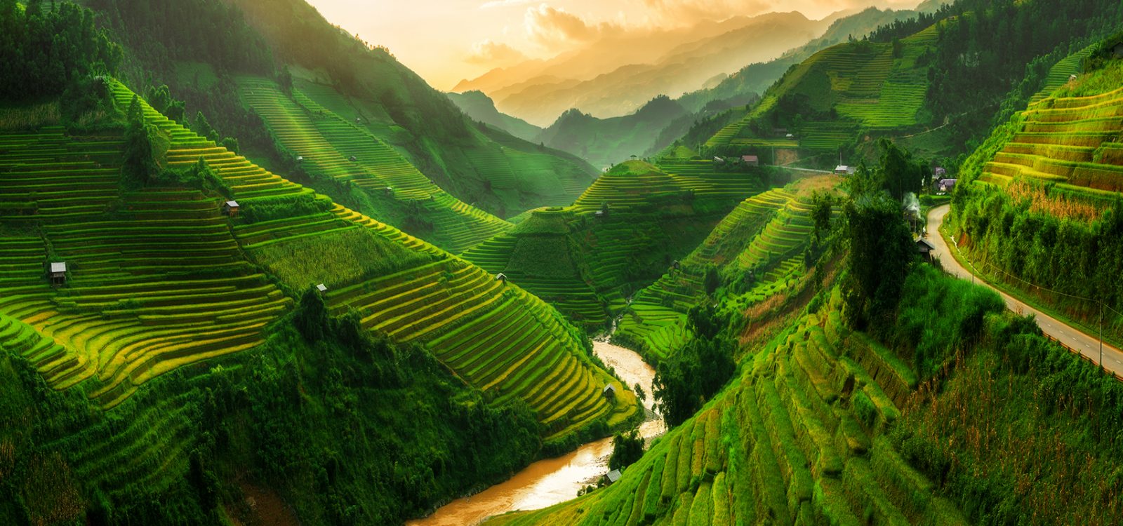 Terraced rice field in Mu Cang Chai, Vietnam