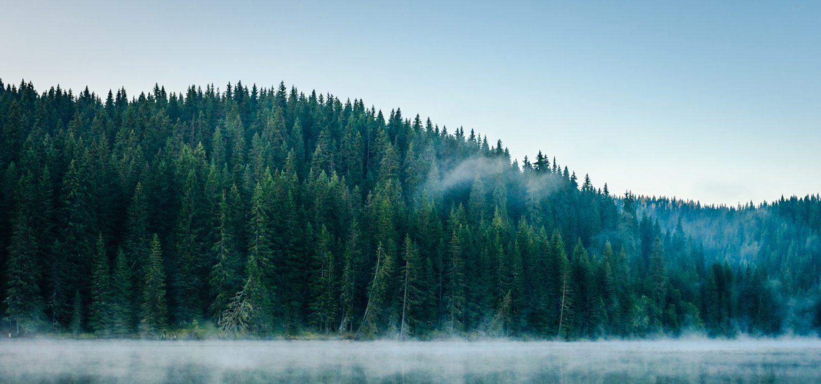 misty lake surrounded by forest-laden hills