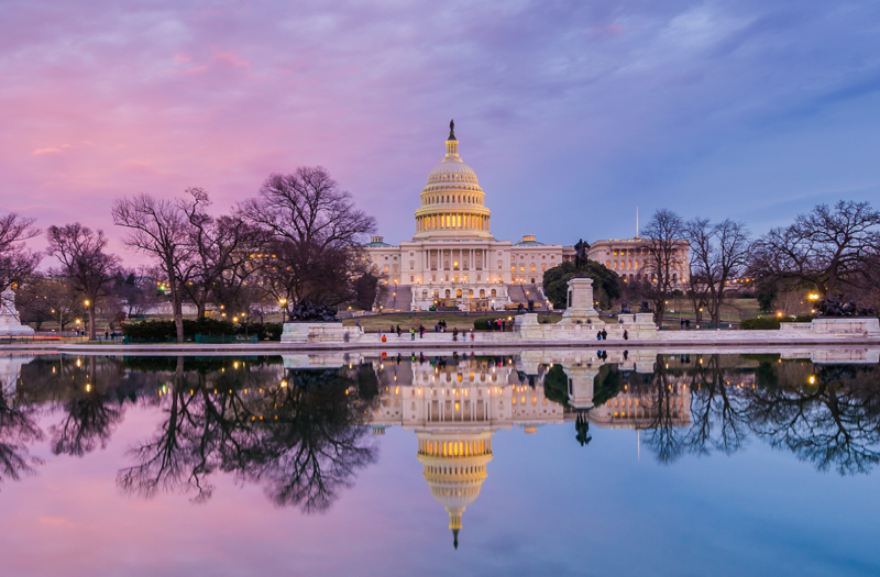 2025 Global Outlook for Chemicals & Chemical Products: Mid-Year Review for the Americas