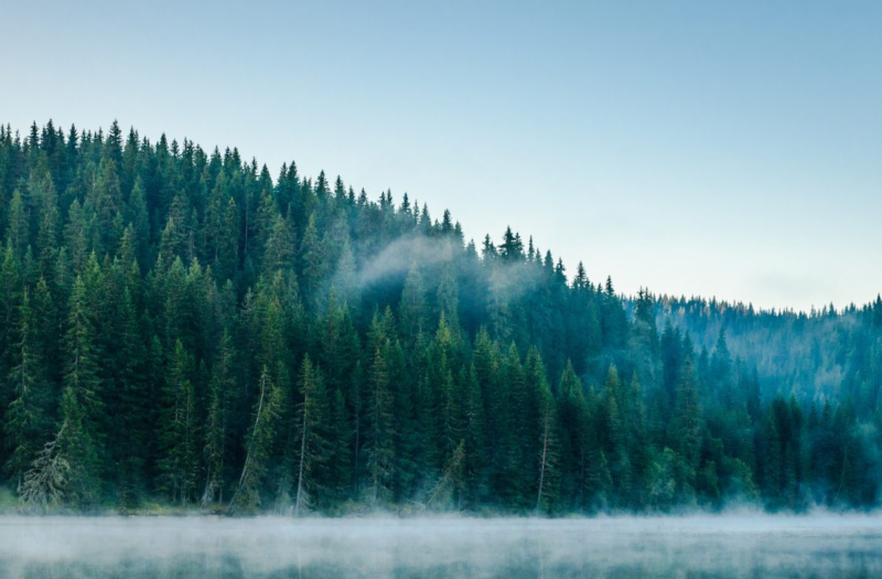 Carbon accounting regulations in the Americas