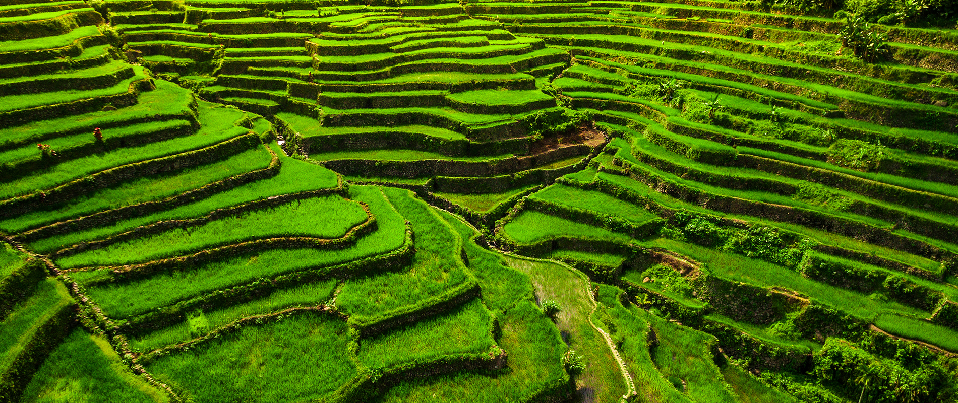 Regulatory content and sustainability intelligence