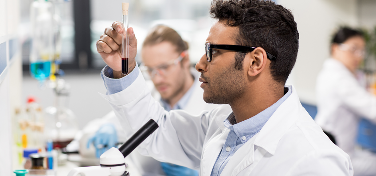 Beginner’s Guide to Toxicology