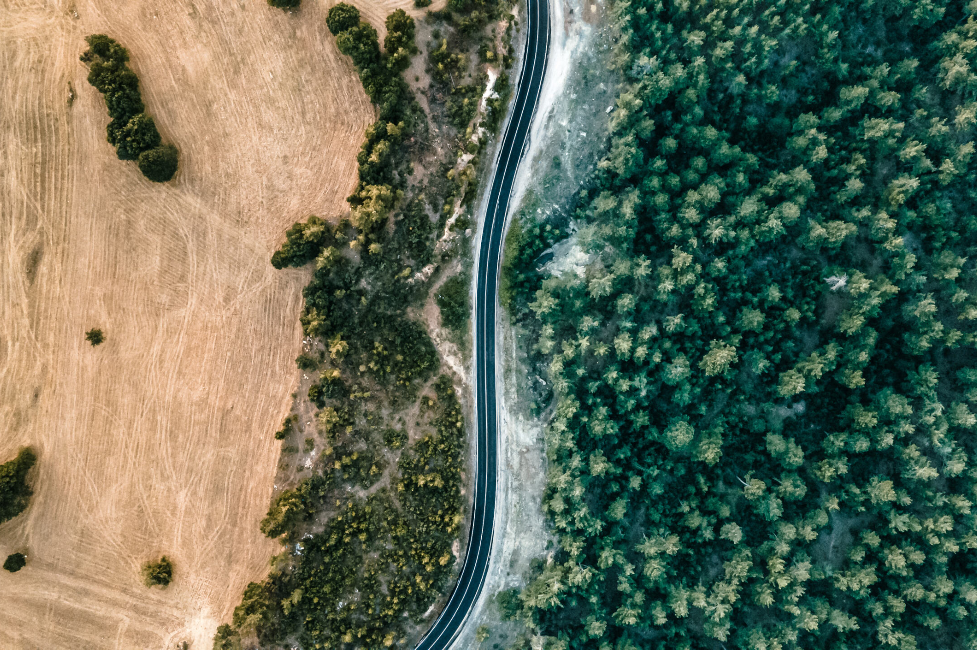 Regulatory content and sustainability intelligence