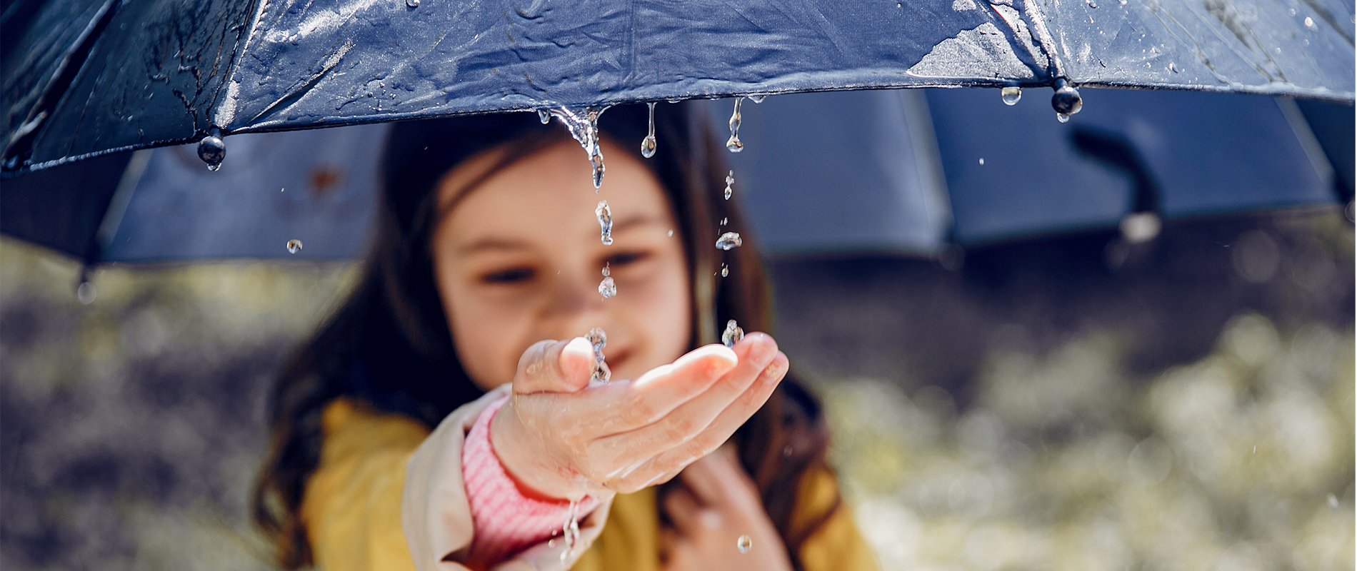 Regulatory content and sustainability intelligence