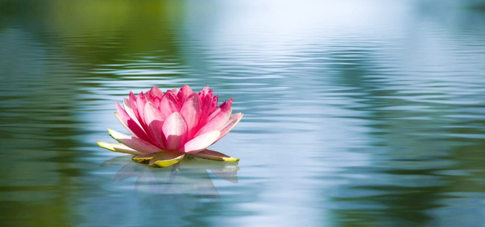 iStock-895454734 (1)