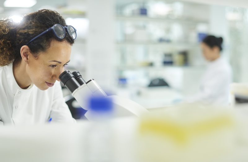 Genotoxicity explained: Definition, testing, and regulatory relevance