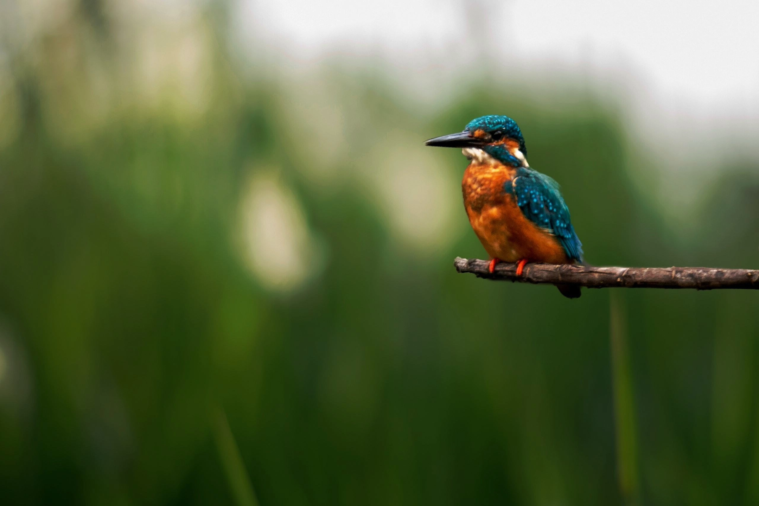 Regulatory content and sustainability intelligence