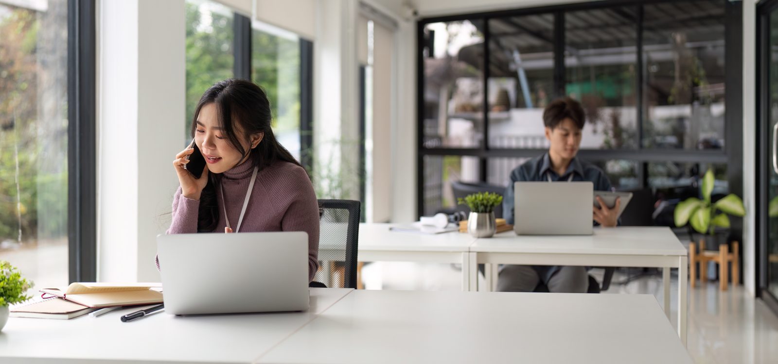 Internal Restricted Substance Lists explained