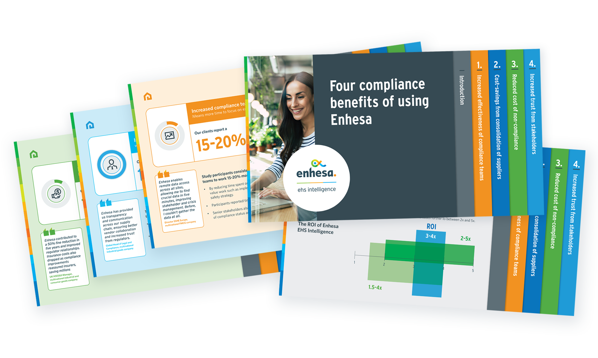 EHS ROI Flip graphic_visual layout