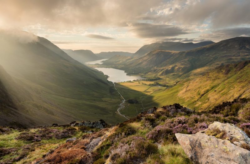 The ROI of safer chemistry: Industry snapshot