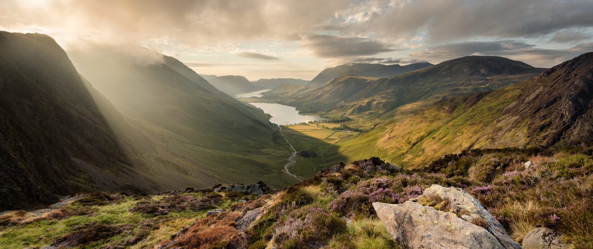 Regulatory content and sustainability intelligence