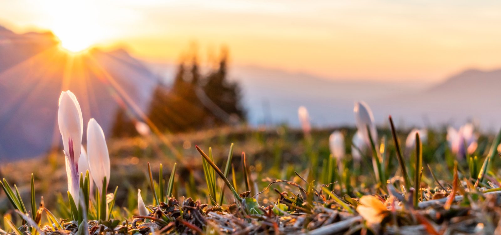 Navigating ESG change for 2026