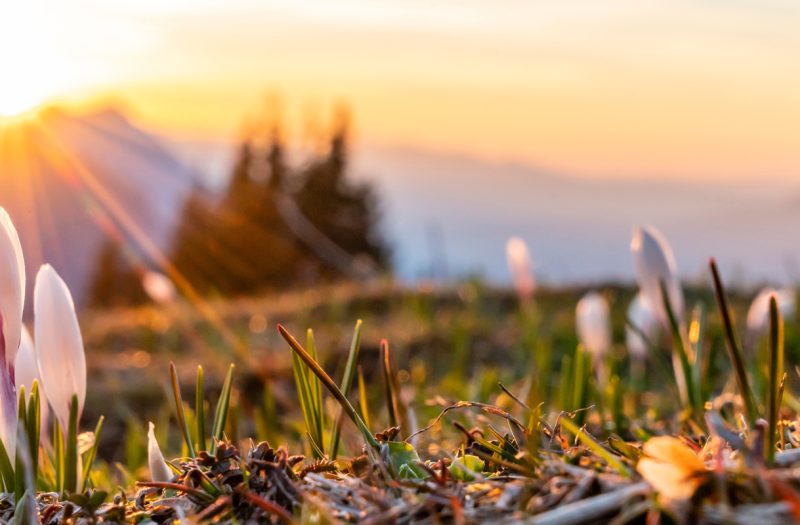 Navigating ESG change for 2026