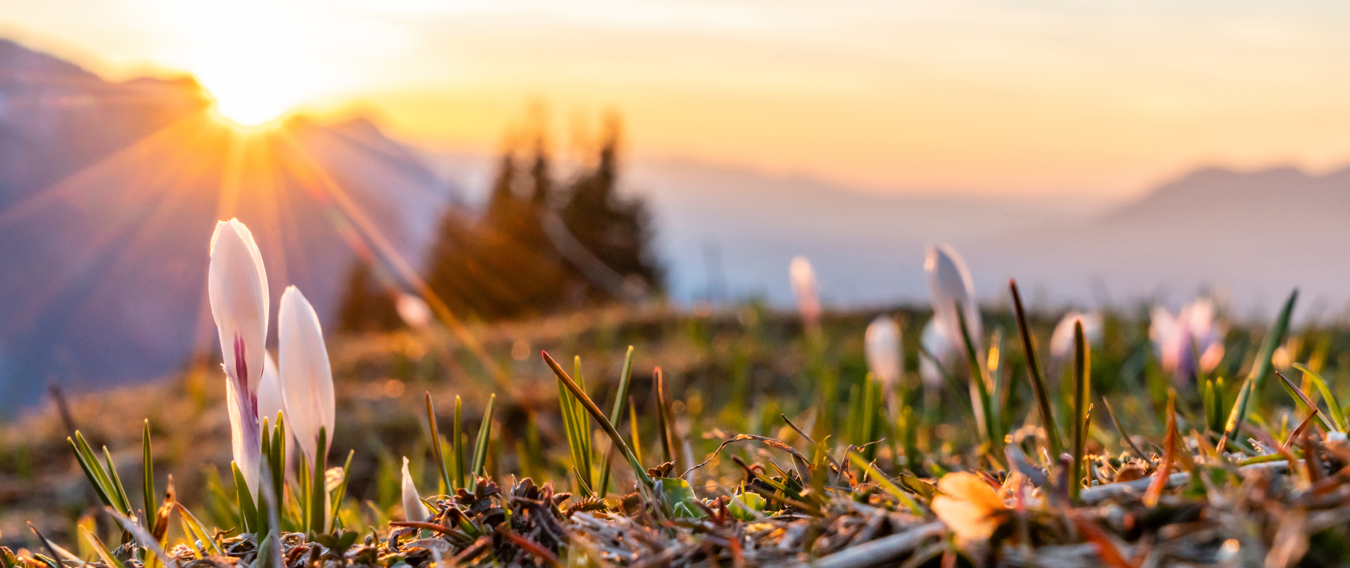 Regulatory content and sustainability intelligence