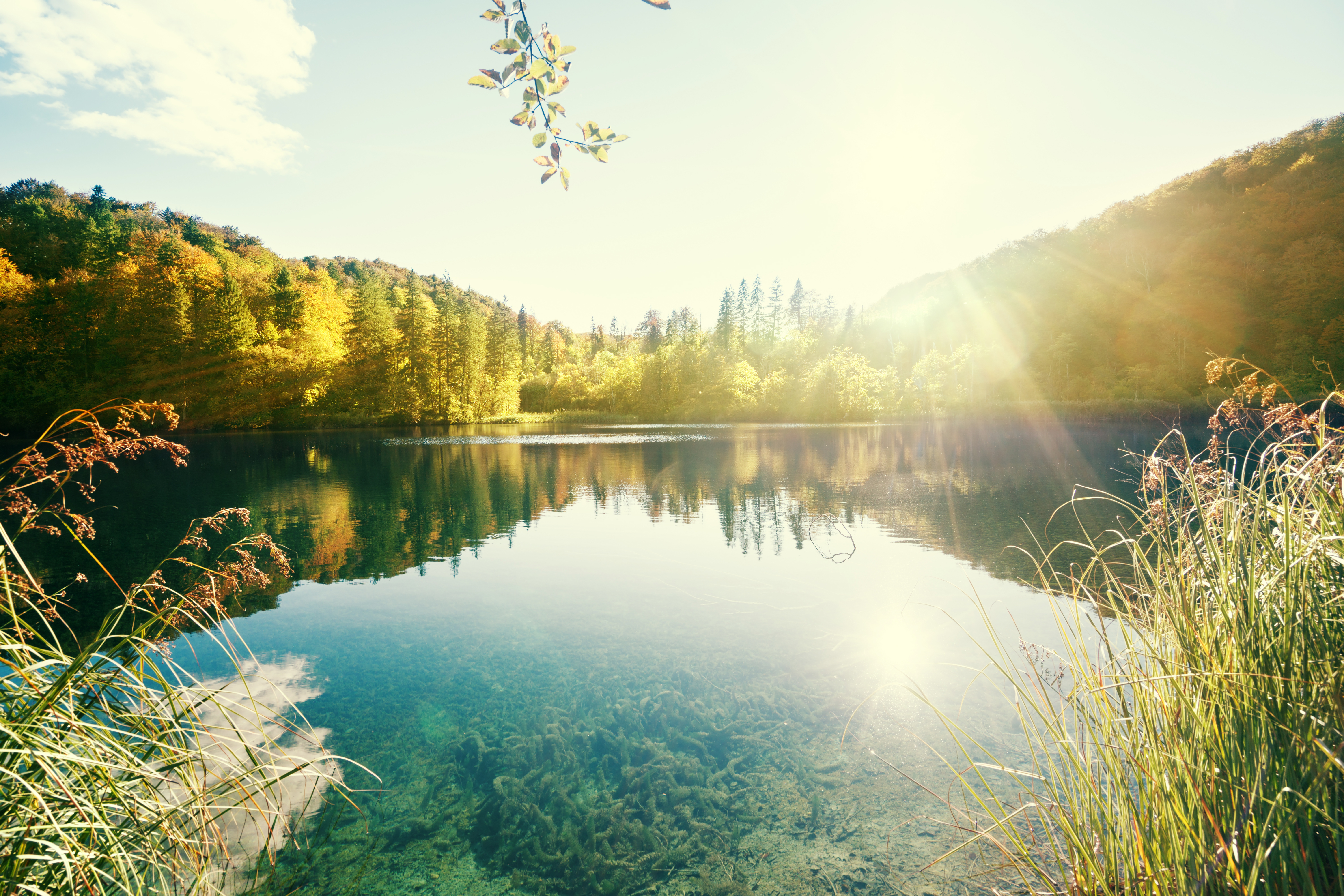 Regulatory content and sustainability intelligence
