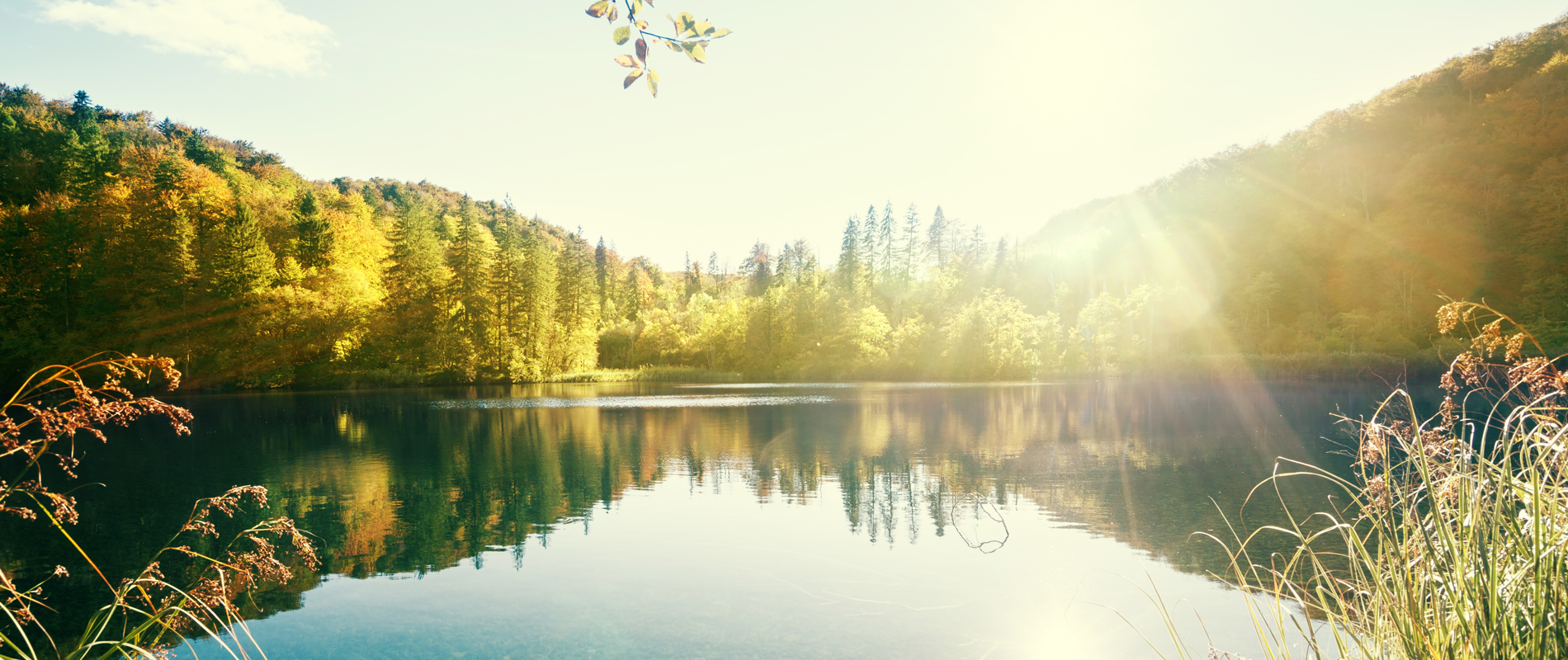 Regulatory content and sustainability intelligence