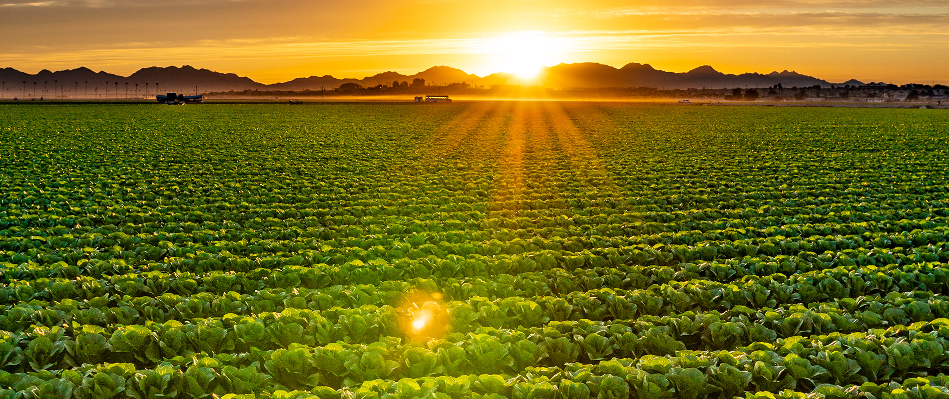 Regulatory content and sustainability intelligence