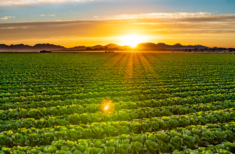 How Brandt Consolidated improved SDS authoring speed and simplified global compliance with Enhesa  